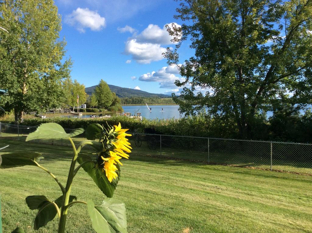 Robert'S Roost Rv Park Resort Quesnel Exteriér fotografie